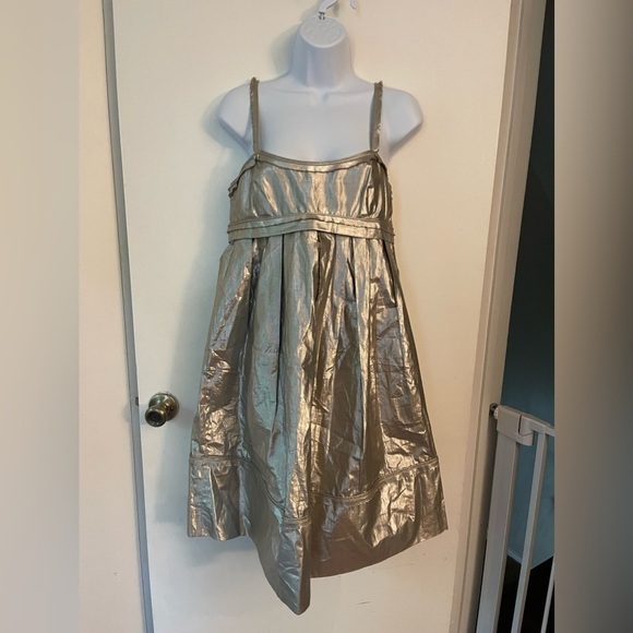 Robert Rodriguez Dresses & Skirts - Robert Rodriguez Silver Black Label A-Line Fully Lined